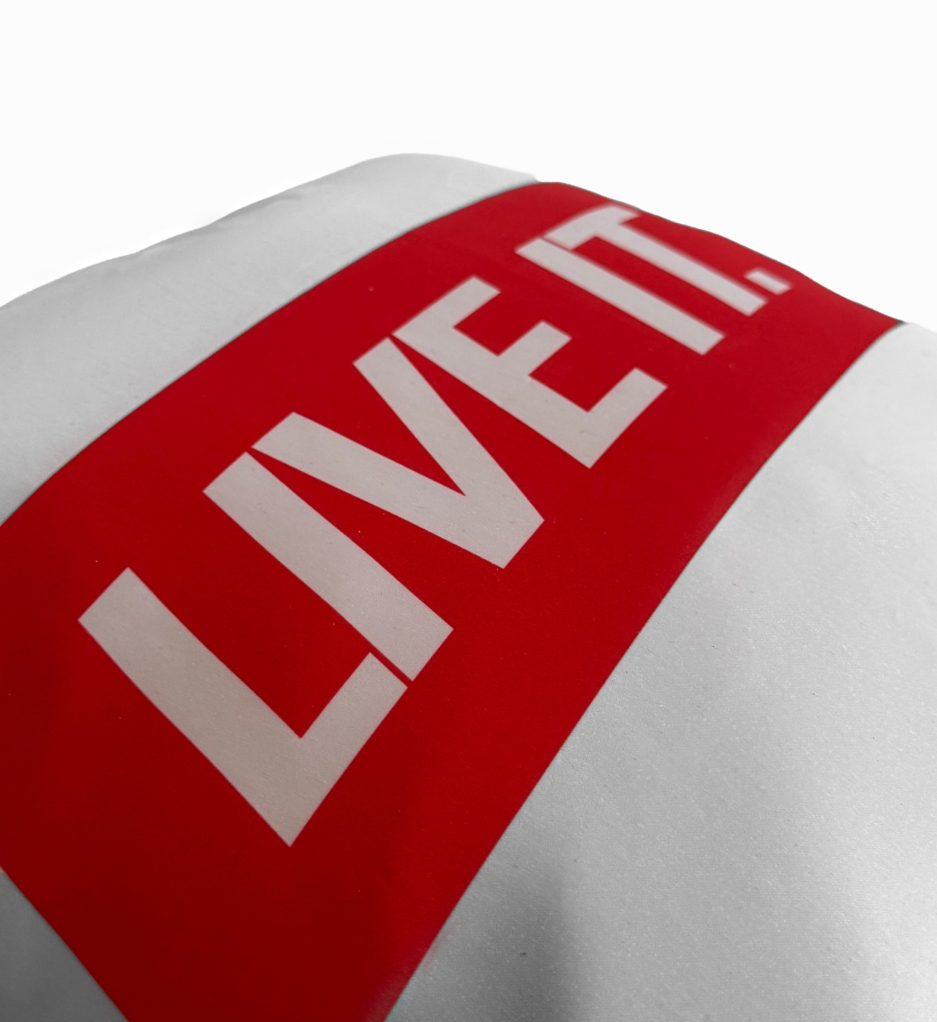 Fack It x Live It Pillow - Image 2